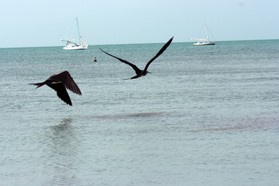 Images_Belize_2011_402