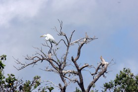 Images_Belize_2011_117