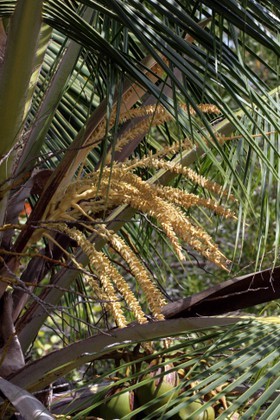 Images_Belize_2011_159