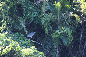 Hopkins, Octobre-Novembre 2021