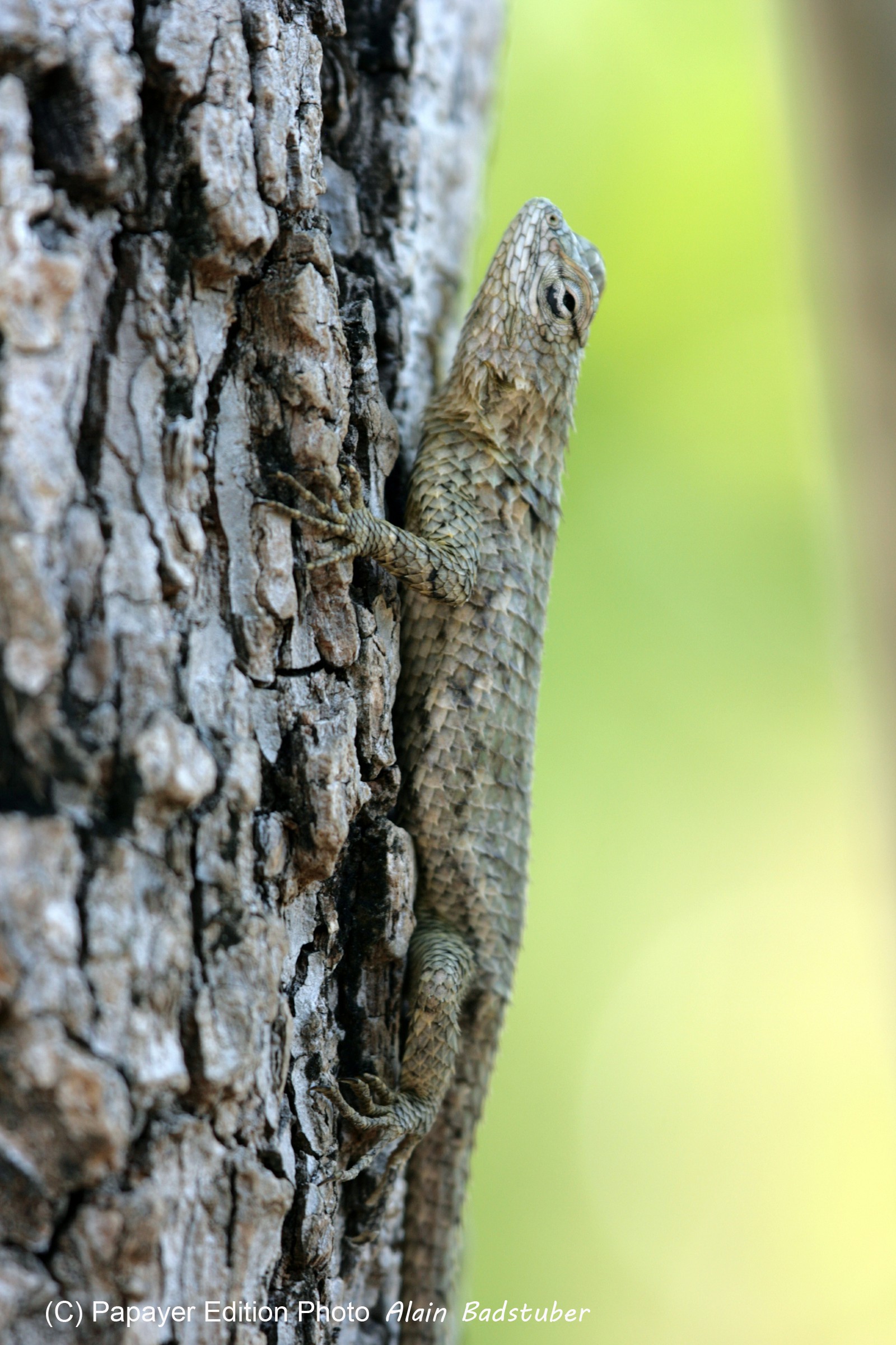 Images_Belize_2011_257