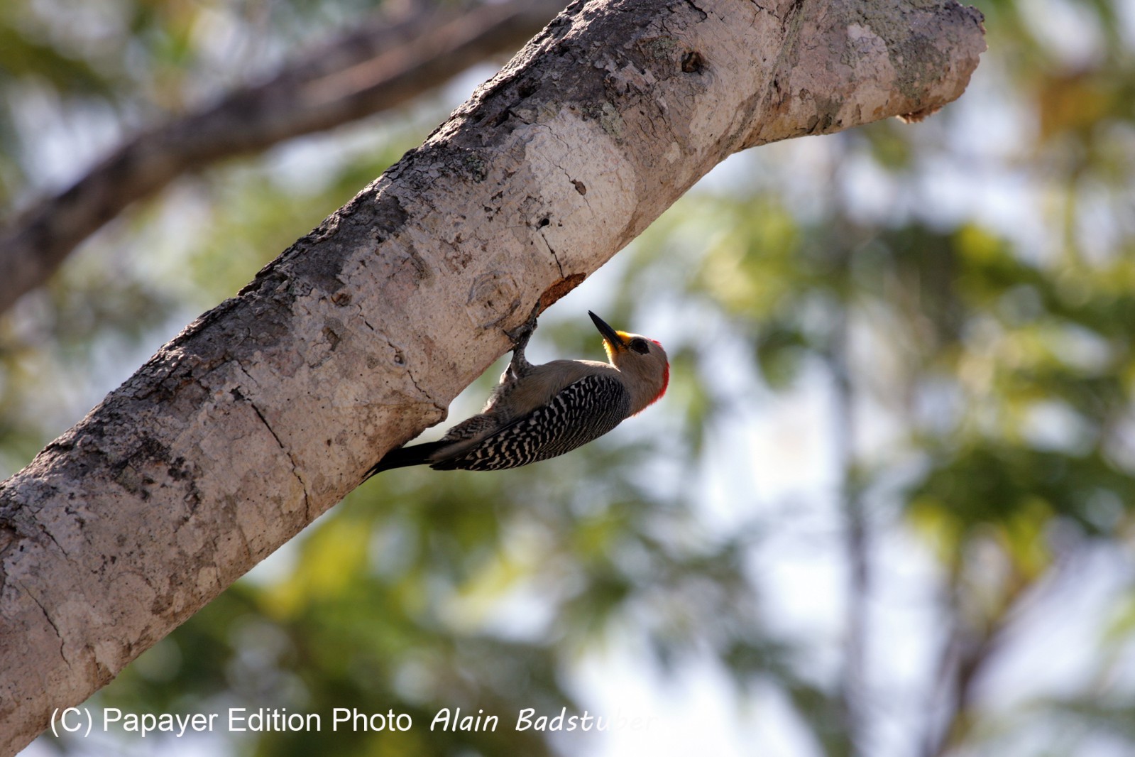 Images_Belize_2011_054