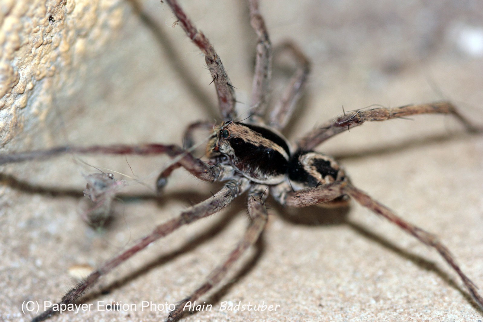 Images_Belize_2011_369