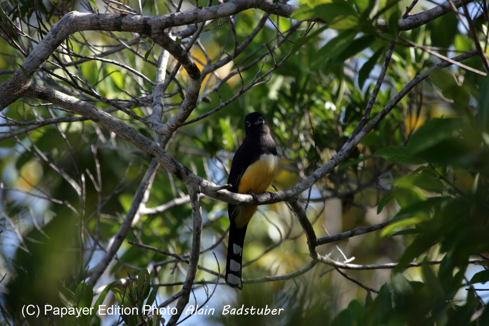 Images_Belize_2011_048