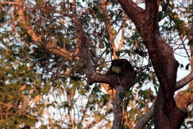 Images_Belize_2011_316