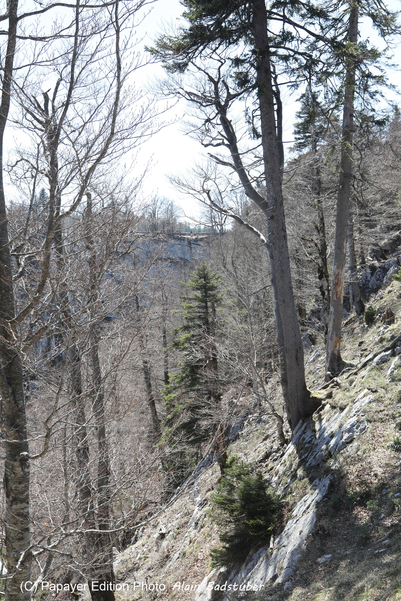 Ma balade du premier mai 2019