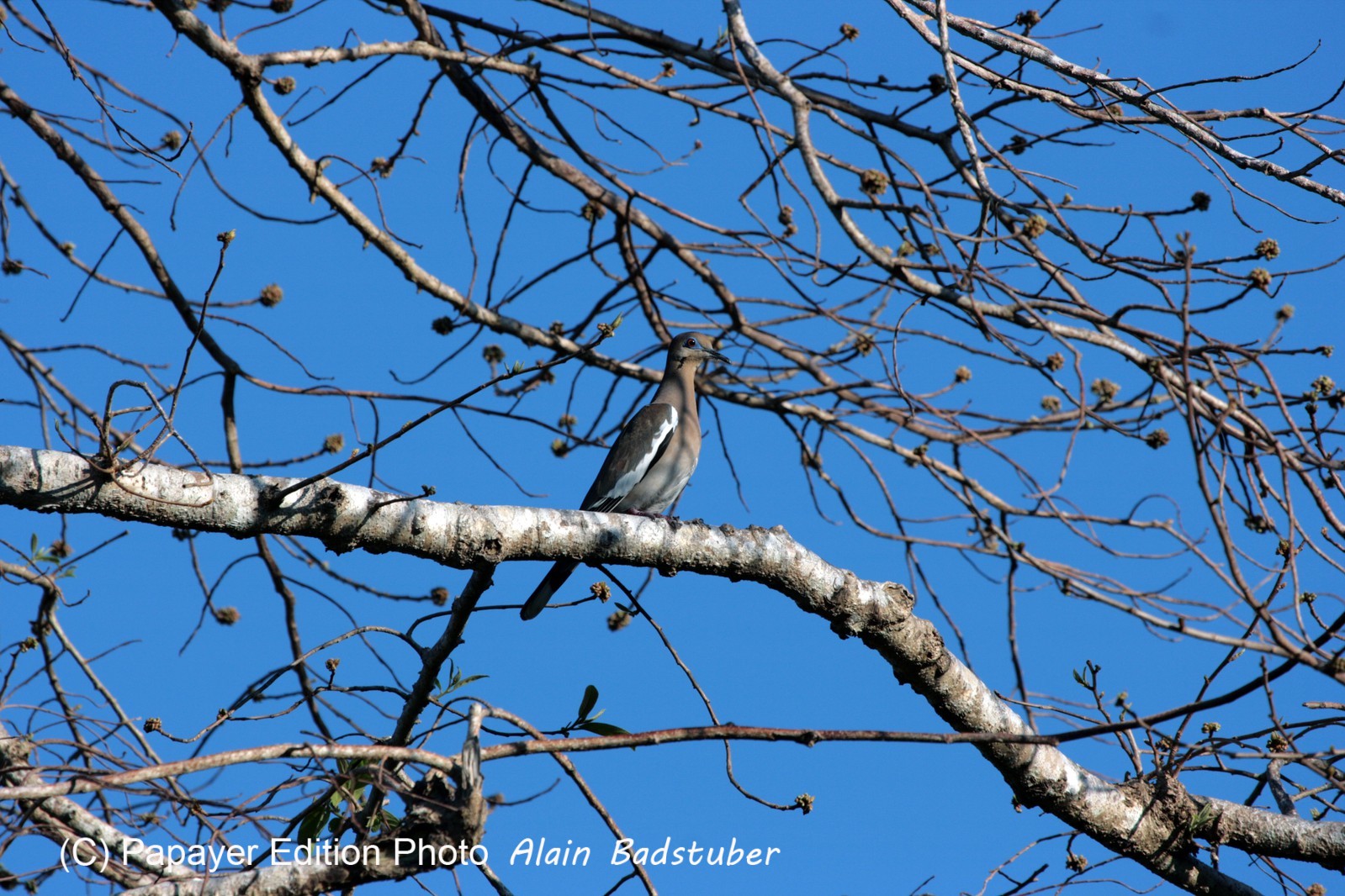 Images_Belize_2011_347
