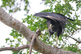 Punta Culebra Nature Center