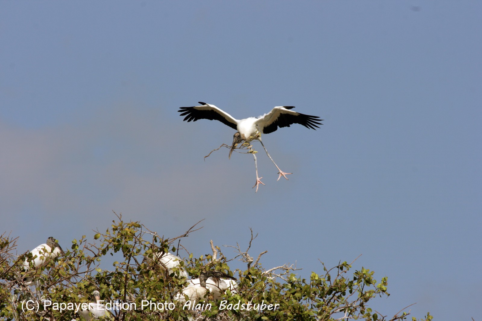 Images_Belize_2011_094