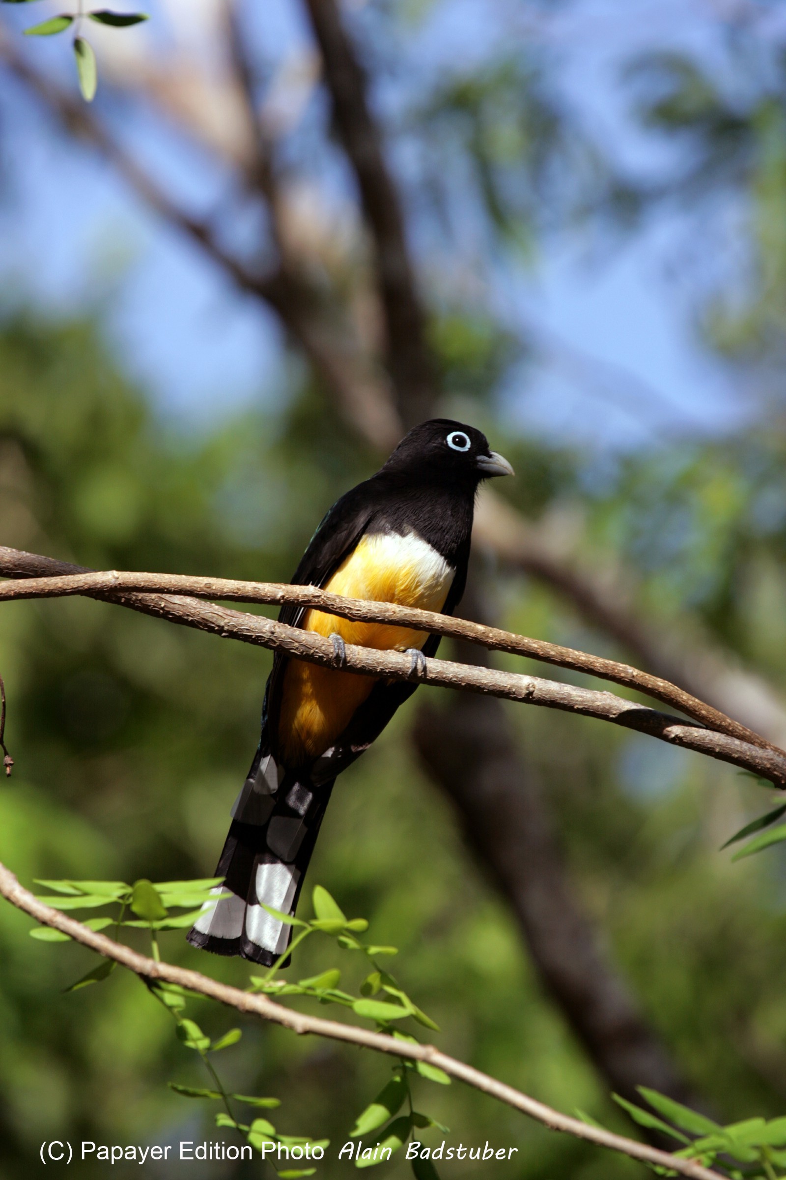 Images_Belize_2011_041