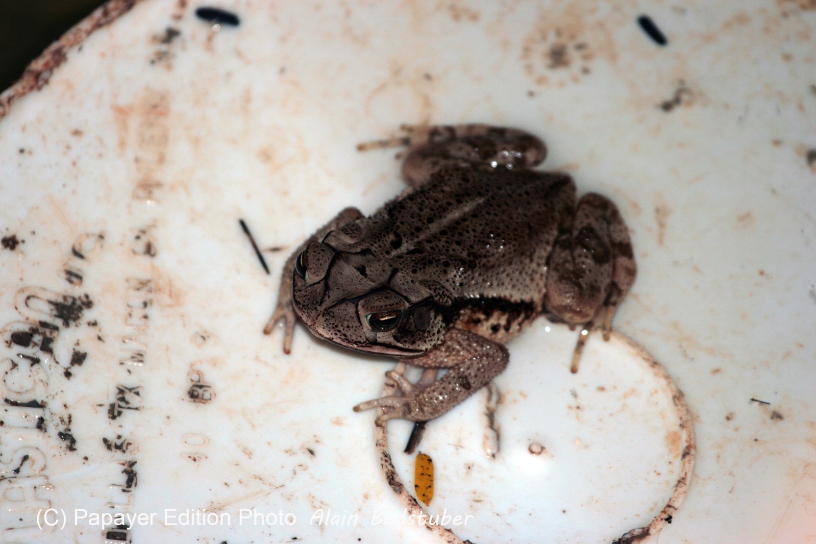 Images_Belize_2011_329