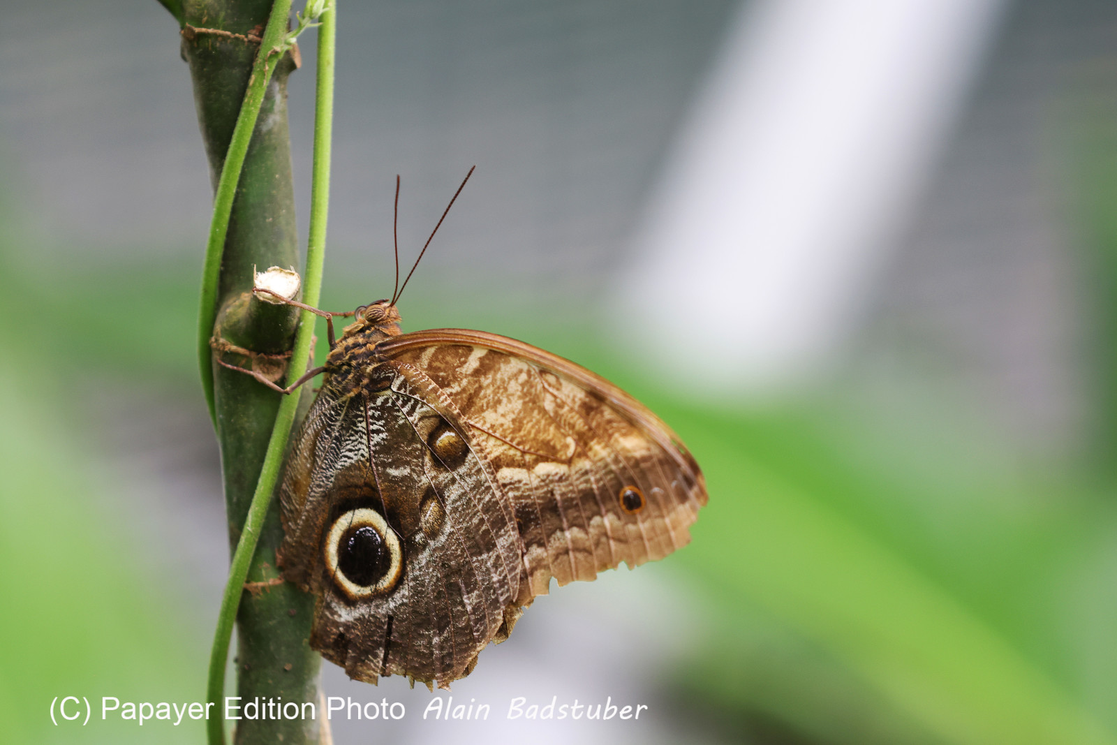 Punta Culebra Nature Center