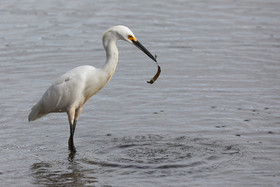 Hopkins, Octobre-Novembre 2021