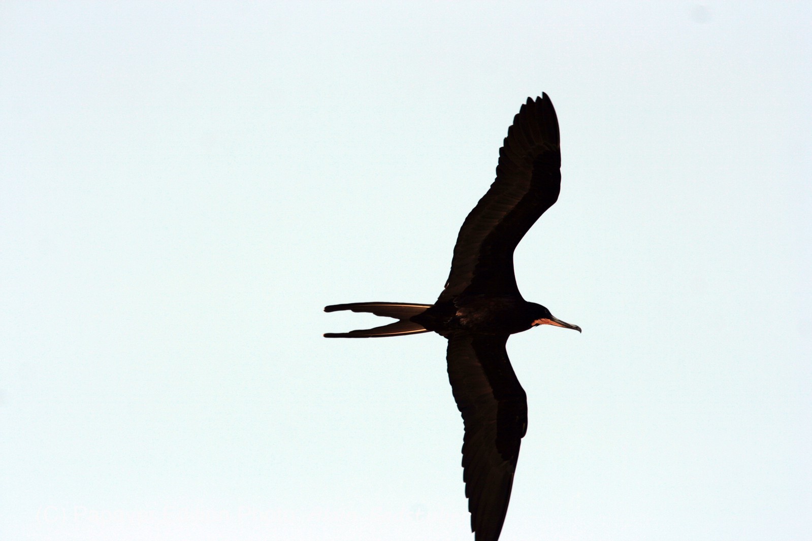 Images_Belize_2011_426