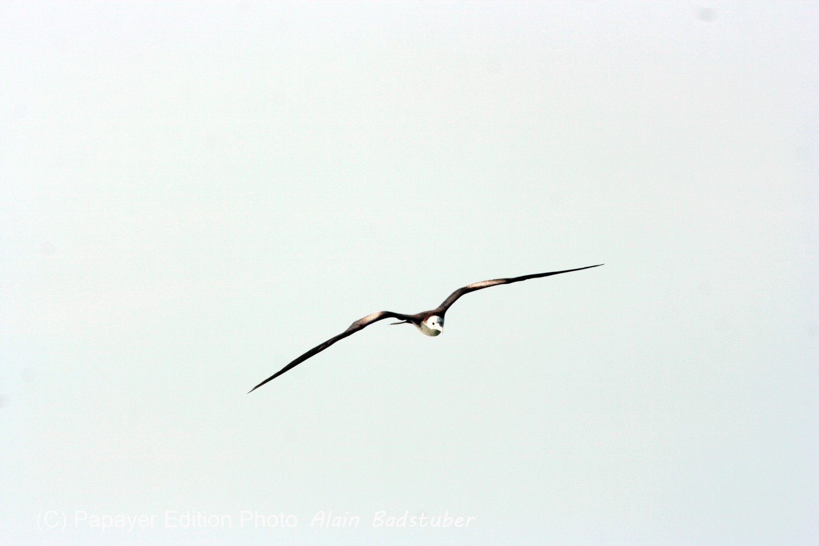 Images_Belize_2011_418