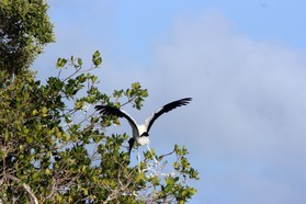 Images_Belize_2011_209