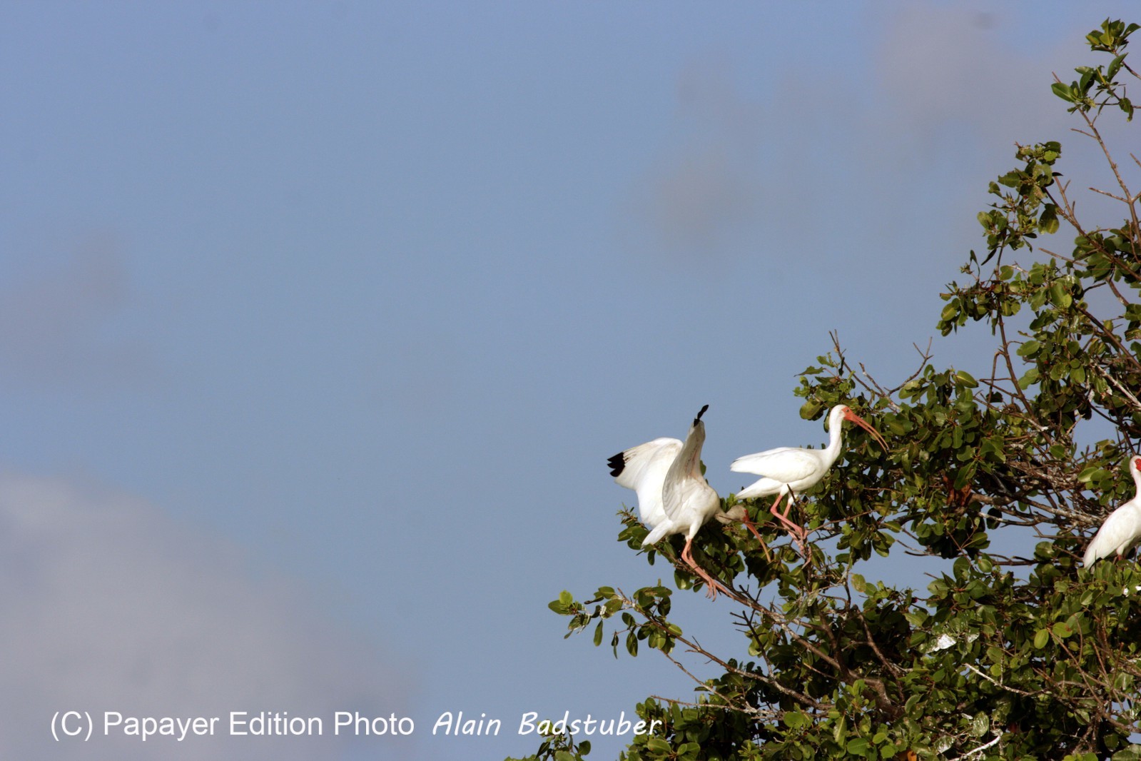 Images_Belize_2011_212