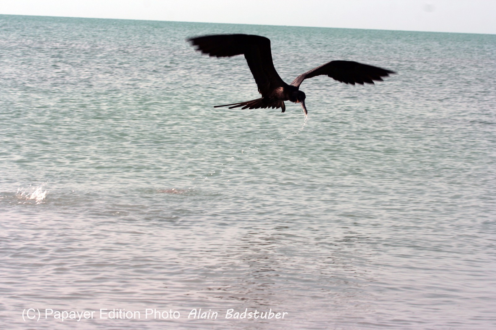 Images_Belize_2011_416