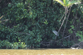 Hopkins, Octobre-Novembre 2021