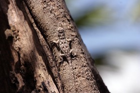 Images_Belize_2011_152