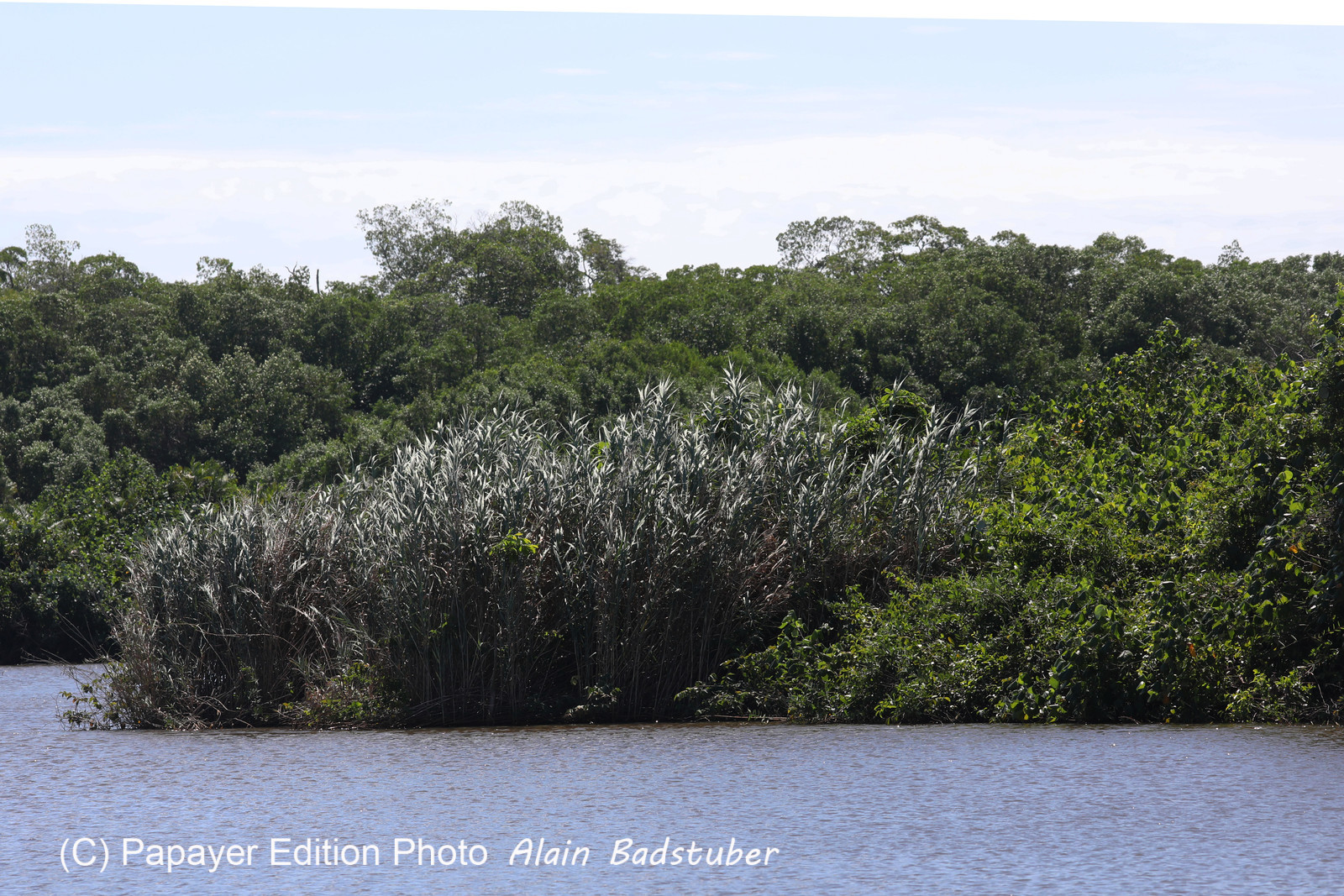 Hopkins, Octobre-Novembre 2021