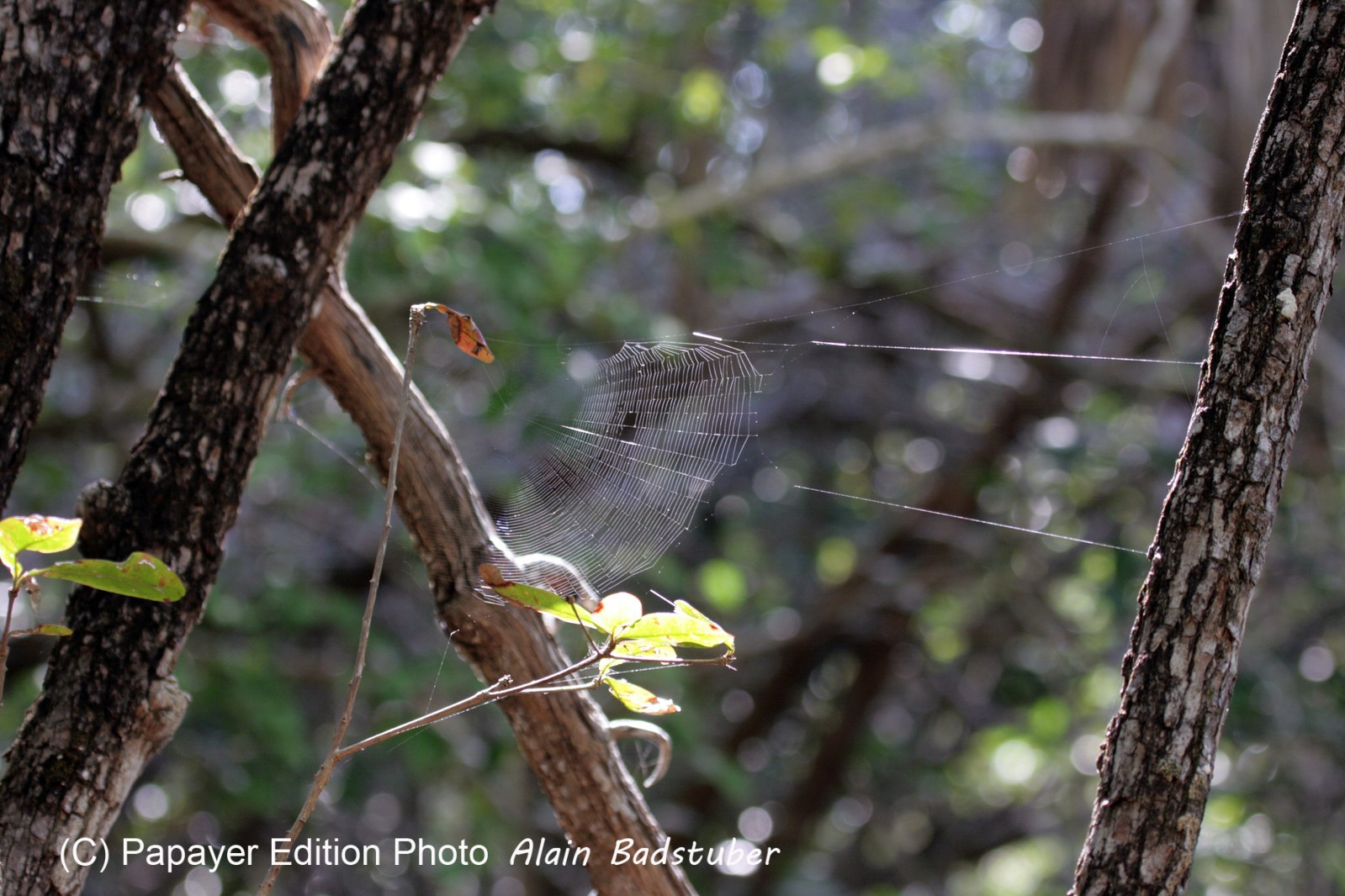 Images_Belize_2011_042