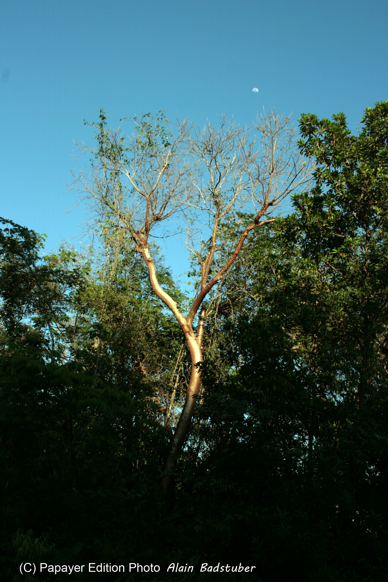 Images_Belize_2011_348