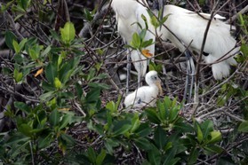 Images_Belize_2011_112