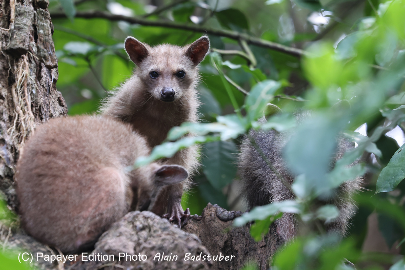 Punta Culebra Nature Center
