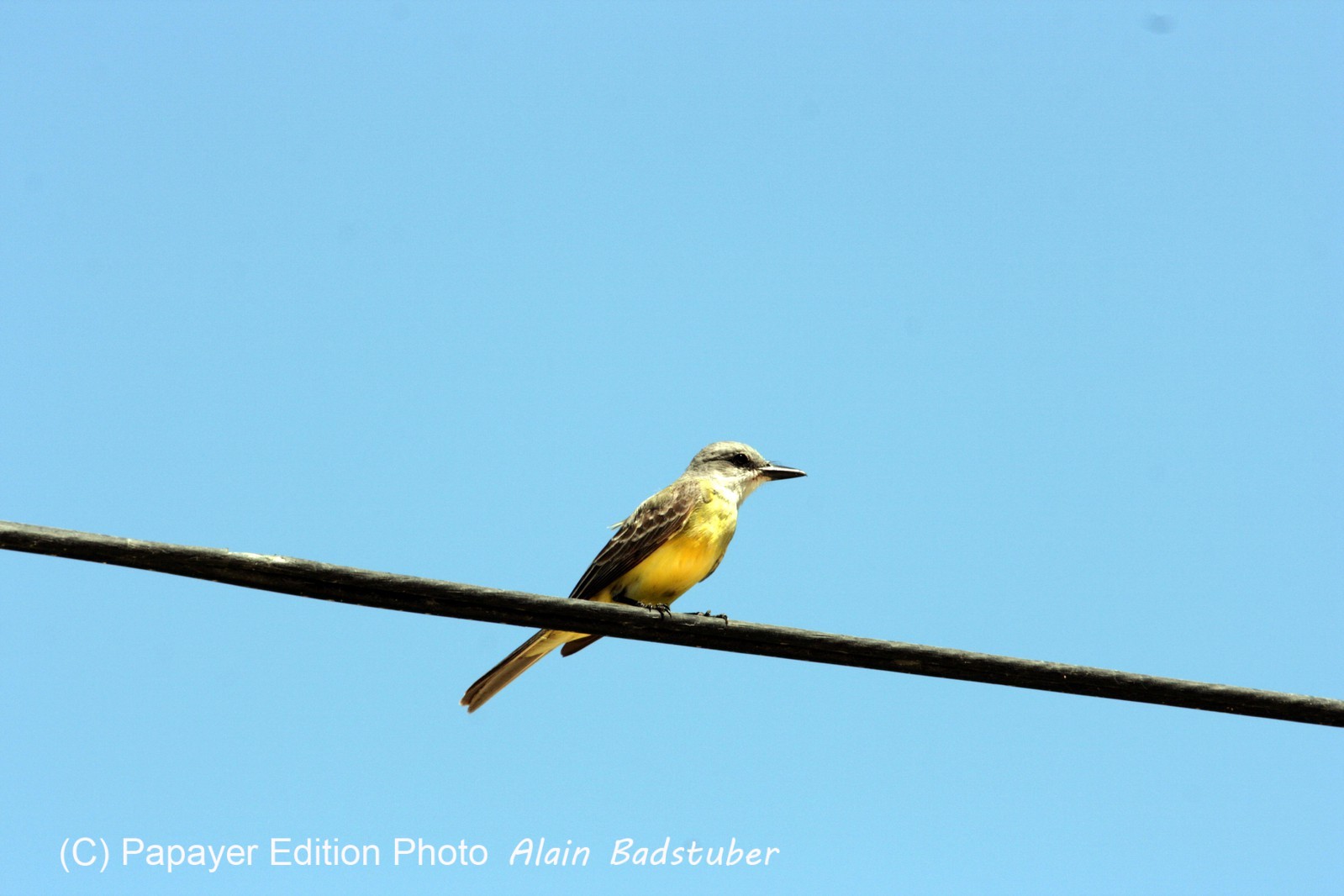 Images_Belize_2011_067