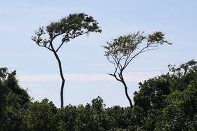 Hopkins, Octobre-Novembre 2021