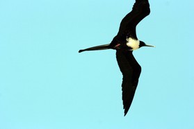 Images_Belize_2011_428