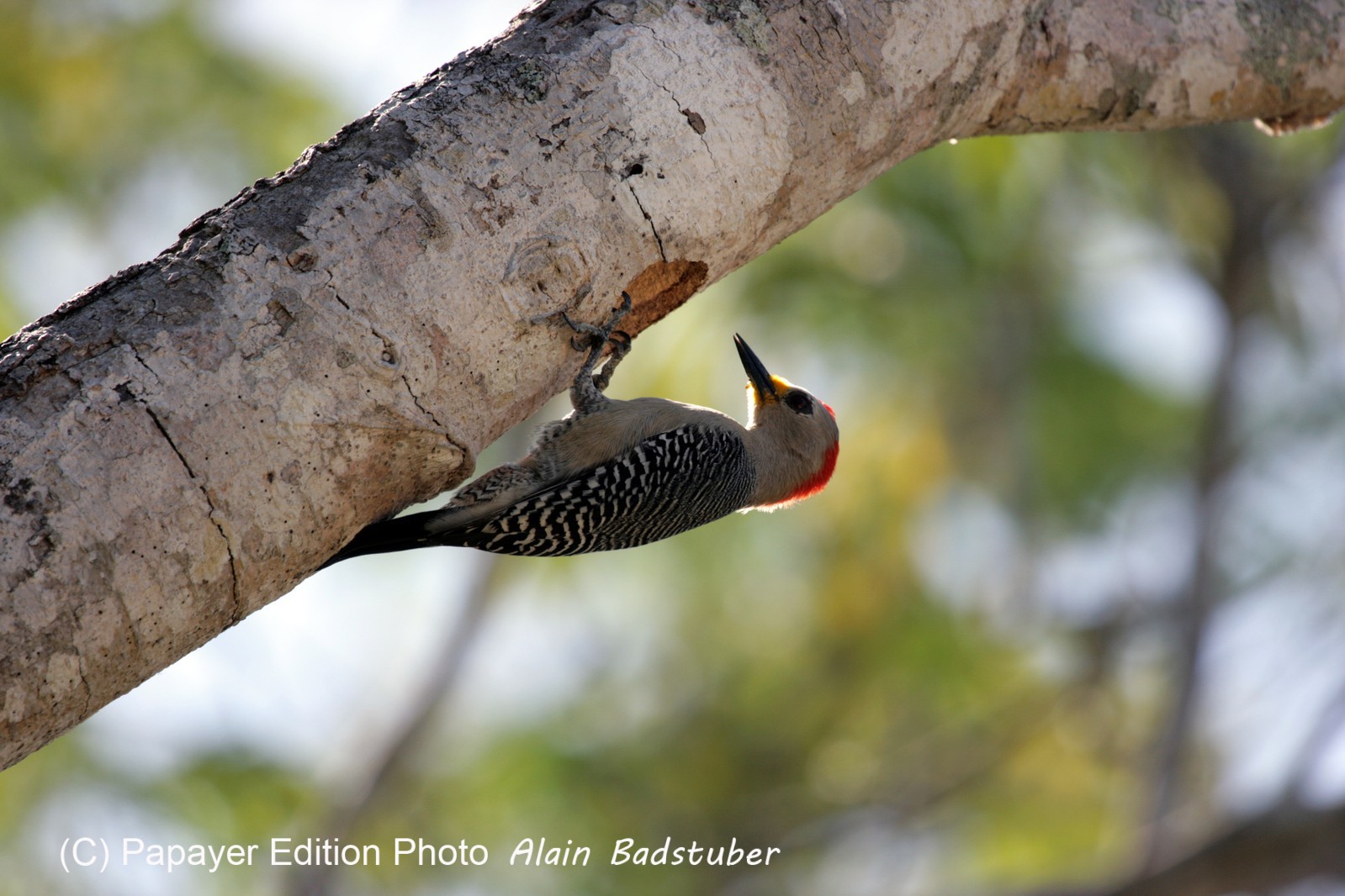 Images_Belize_2011_058