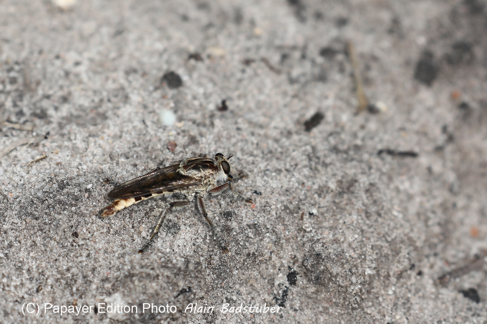 Premier séjour à Crooked Tree , au Bélize en octobre 2021