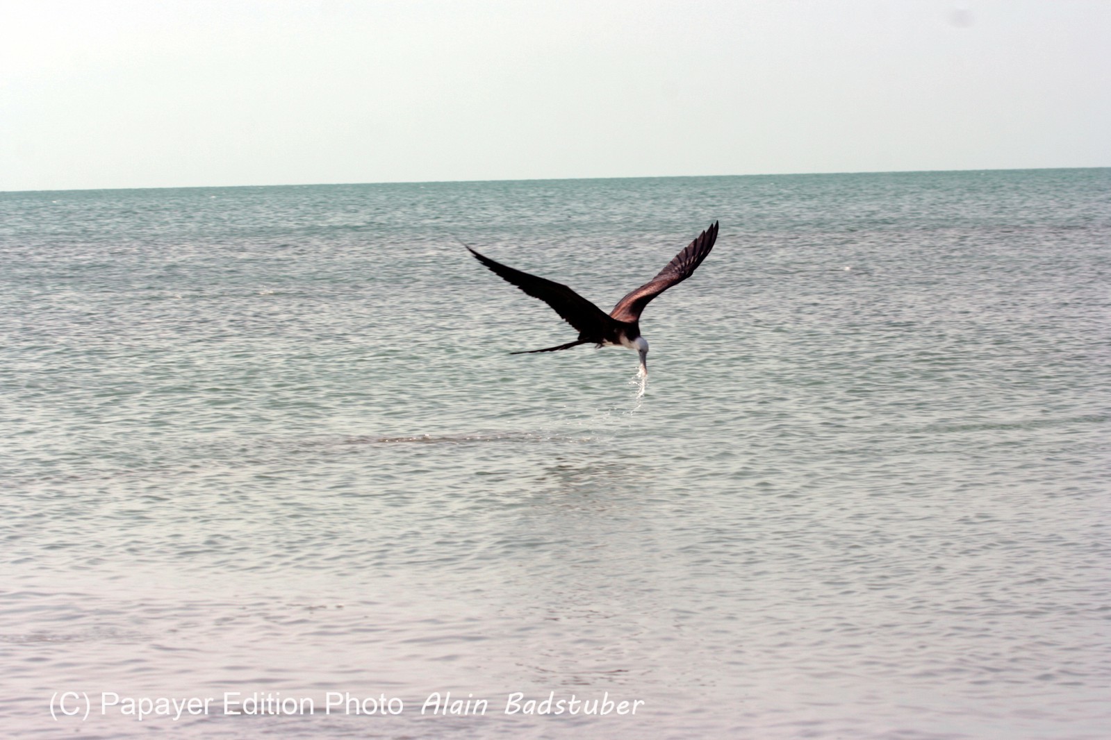 Images_Belize_2011_412