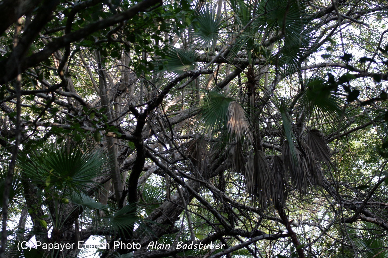 Images_Belize_2011_269