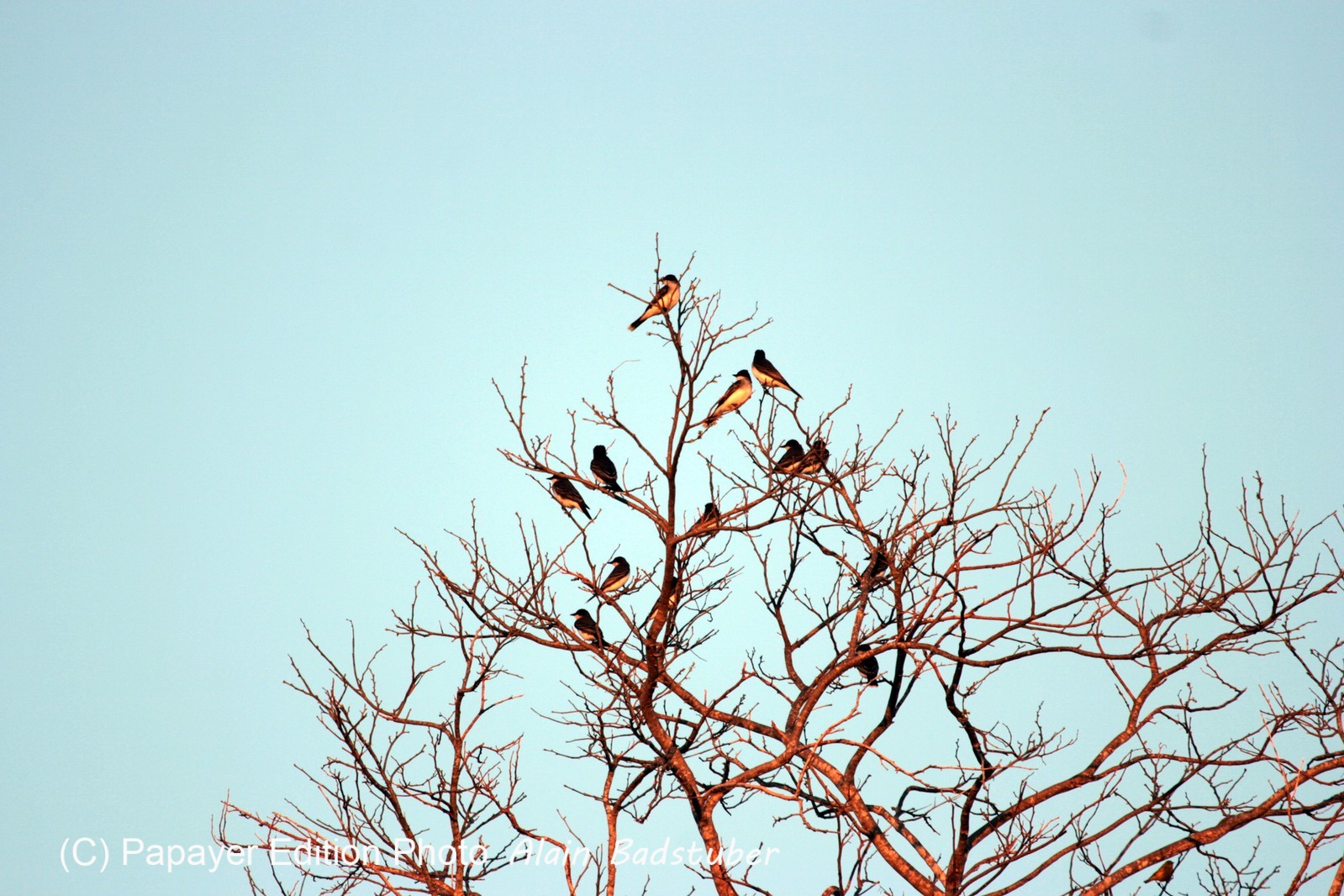 Images_Belize_2011_359