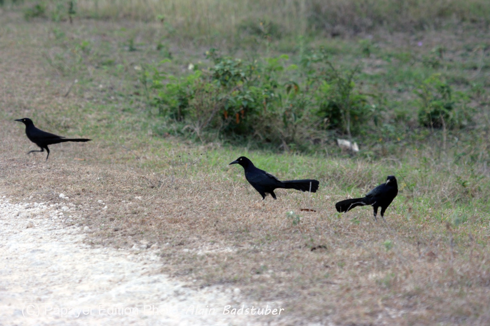 Images_Belize_2011_007