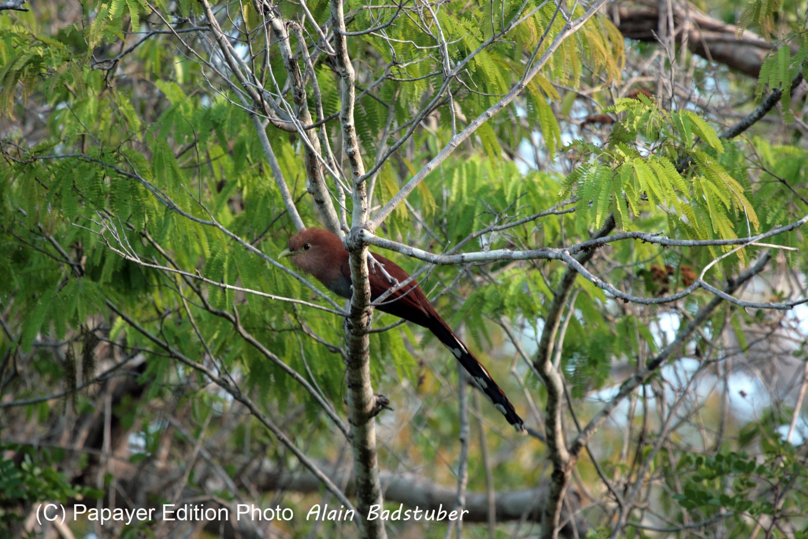 Images_Belize_2011_365