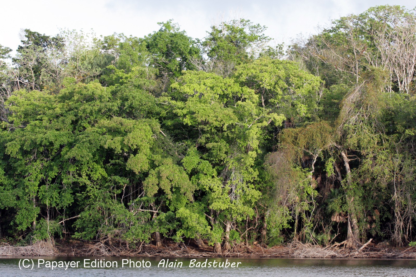 Images_Belize_2011_274