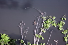 Images_Belize_2011_330