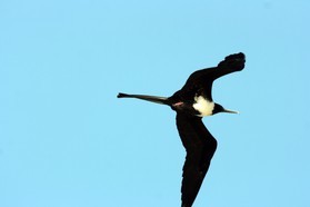 Images_Belize_2011_429